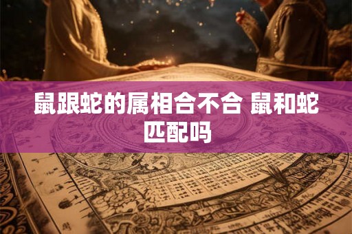 鼠跟蛇的属相合不合 鼠和蛇匹配吗 鼠跟蛇的属相合不合 鼠和蛇匹配吗