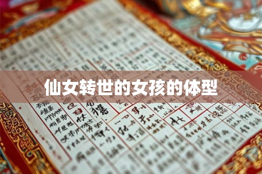 仙女转世的女孩的体型