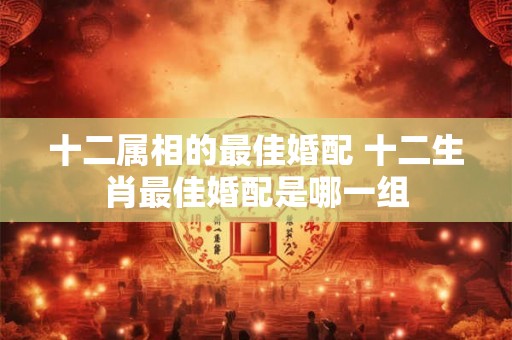 十二属相的最佳婚配 十二生肖最佳婚配是哪一组
