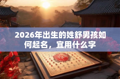 2026年出生的姓舒男孩如何起名，宜用什么字