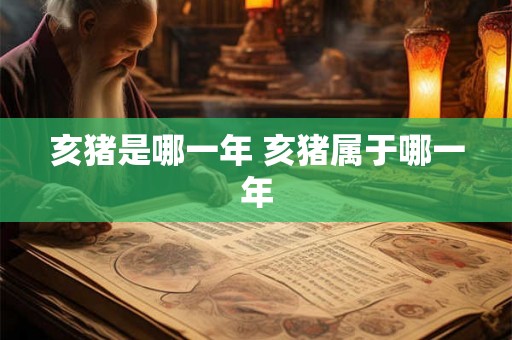 亥猪是哪一年 亥猪属于哪一年