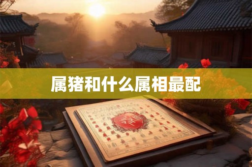 属猪和什么属相最配