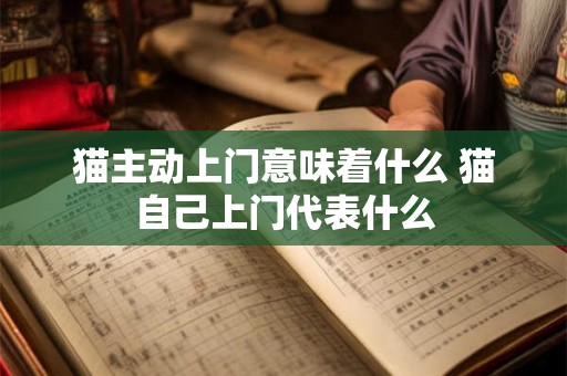 猫主动上门意味着什么 猫自己上门代表什么