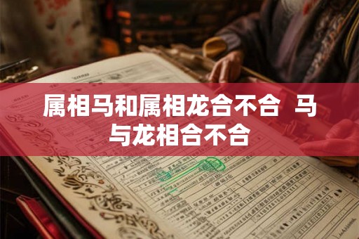 属相马和属相龙合不合  马与龙相合不合