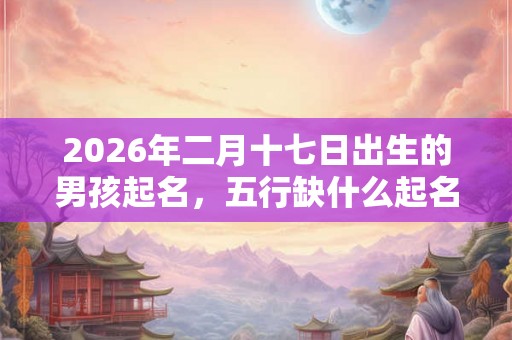 2026年二月十七日出生的男孩起名，五行缺什么起名