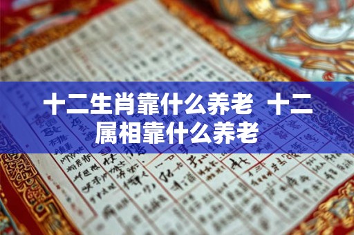 十二生肖靠什么养老  十二属相靠什么养老