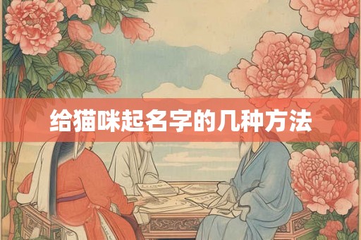 给猫咪起名字的几种方法