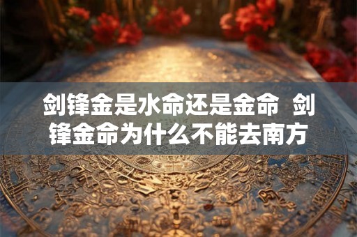 剑锋金是水命还是金命  剑锋金命为什么不能去南方