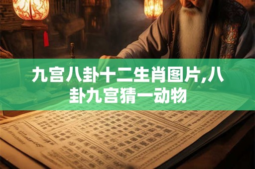 九宫八卦十二生肖图片,八卦九宫猜一动物