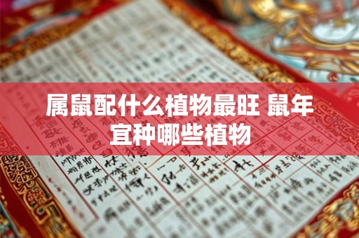 属鼠配什么植物最旺 鼠年宜种哪些植物