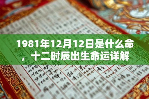 1981年12月12日是什么命,十二时辰出生命运详解 1981年12月12日是什么命,十二时辰出生命运详解