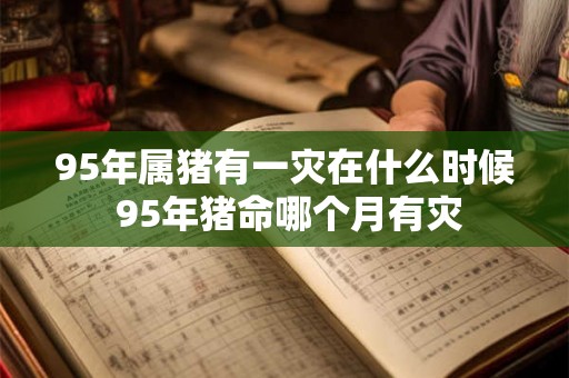 95年属猪有一灾在什么时候 95年猪命哪个月有灾 95年属猪有一灾在什么时候 95年猪命哪个月有灾