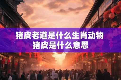 猪皮老道是什么生肖动物 猪皮是什么意思