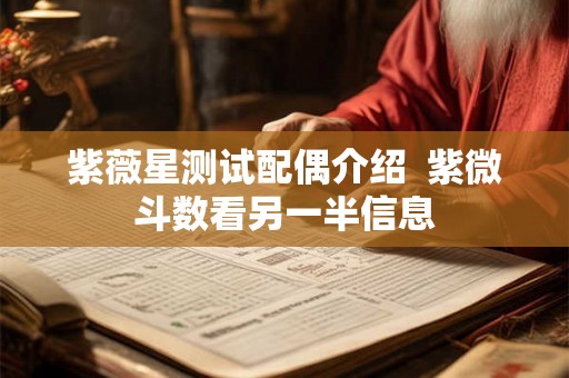 紫薇星测试配偶介绍  紫微斗数看另一半信息