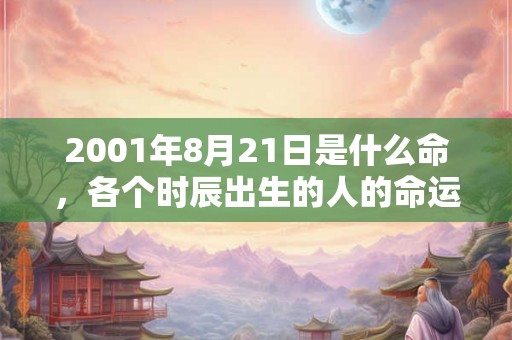 2001年8月21日是什么命，各个时辰出生的人的命运