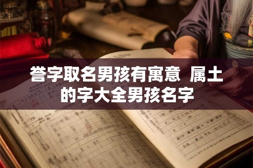 誉字取名男孩有寓意  属土的字大全男孩名字