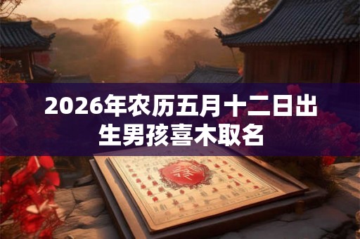 2026年农历五月十二日出生男孩喜木取名