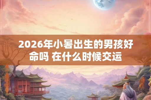 2026年小暑出生的男孩好命吗 在什么时候交运