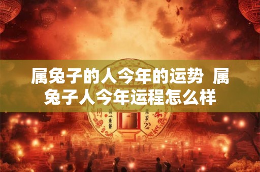 属兔子的人今年的运势 属兔子人今年运程怎么样 属兔子的人今年的运势 属兔子人今年运程怎么样