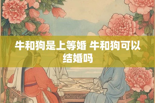 牛和狗是上等婚 牛和狗可以结婚吗 牛和狗是上等婚 牛和狗可以结婚吗