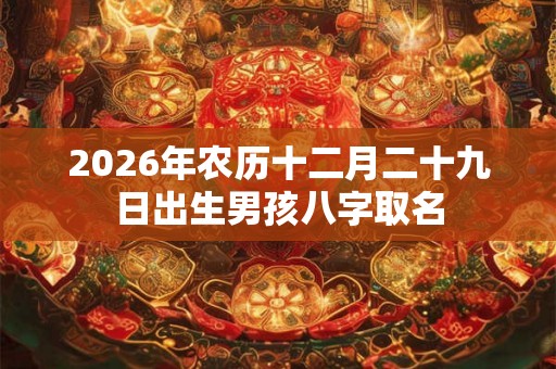 2026年农历十二月二十九日出生男孩八字取名