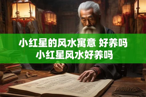 小红星的风水寓意 好养吗 小红星风水好养吗