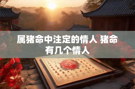 属猪命中注定的情人 猪命有几个情人