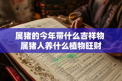 属猪的今年带什么吉祥物 属猪人养什么植物旺财