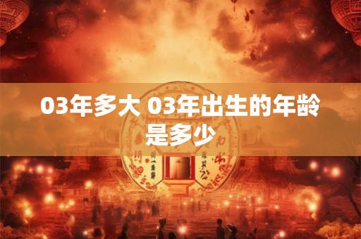 03年多大 03年出生的年龄是多少