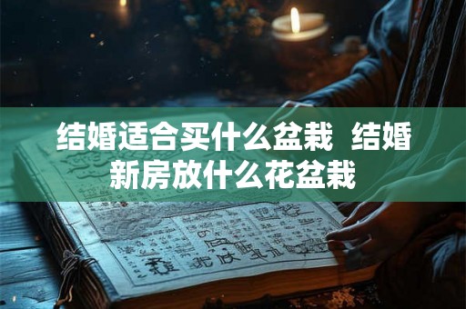结婚适合买什么盆栽  结婚新房放什么花盆栽