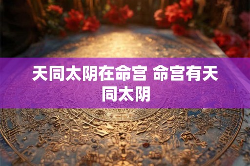 天同太阴在命宫 命宫有天同太阴