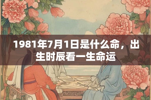1981年7月1日是什么命，出生时辰看一生命运