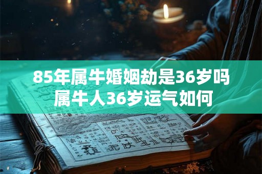 85年属牛婚姻劫是36岁吗 属牛人36岁运气如何 85年属牛婚姻劫是36岁吗 属牛人36岁运气如何