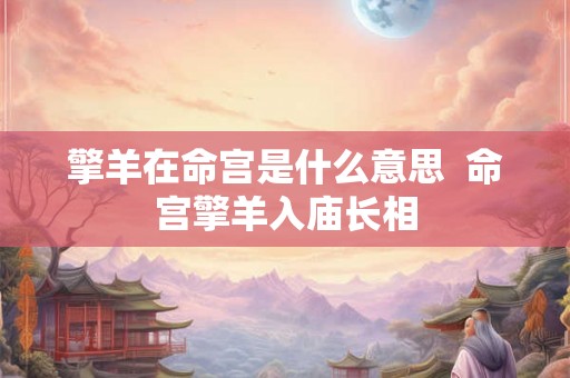 擎羊在命宫是什么意思  命宫擎羊入庙长相