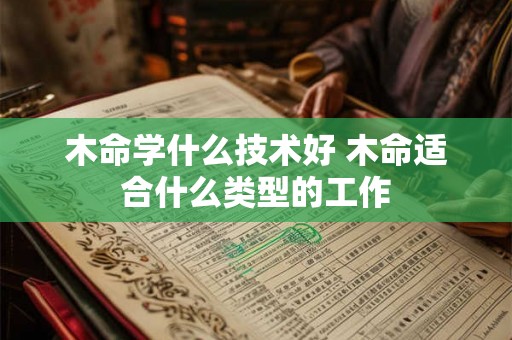木命学什么技术好 木命适合什么类型的工作