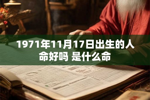 1971年11月17日出生的人命好吗 是什么命