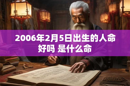 2006年2月5日出生的人命好吗 是什么命