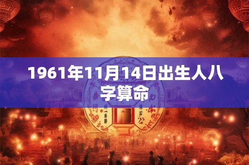 1961年11月14日出生人八字算命