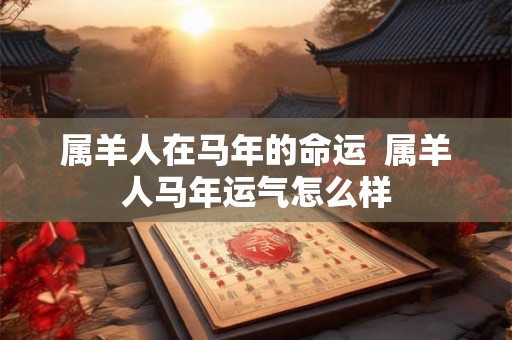 属羊人在马年的命运  属羊人马年运气怎么样