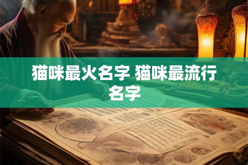 猫咪最火名字 猫咪最流行名字
