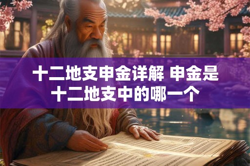 十二地支申金详解 申金是十二地支中的哪一个