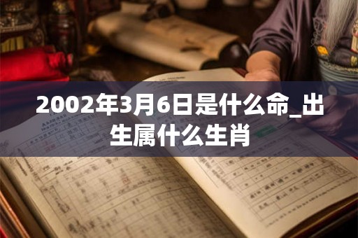 2002年3月6日是什么命_出生属什么生肖