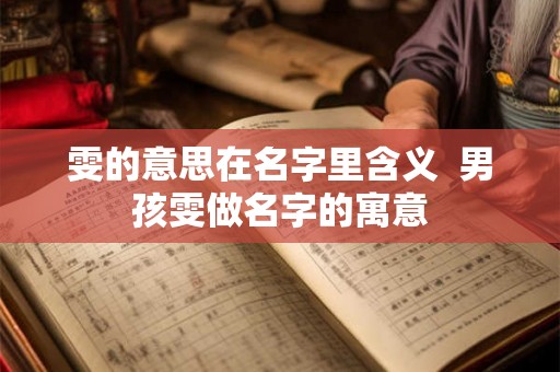 雯的意思在名字里含义  男孩雯做名字的寓意