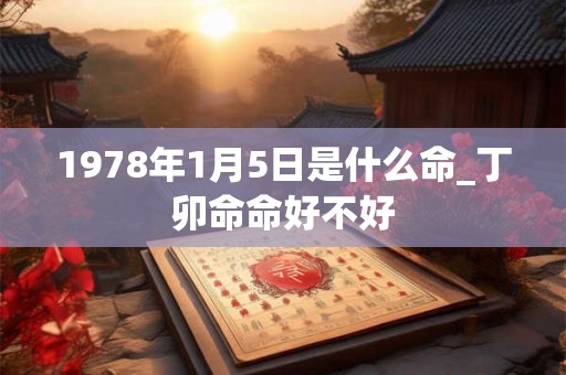 1978年1月5日是什么命_丁卯命命好不好