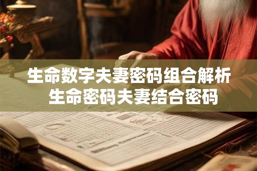 生命数字夫妻密码组合解析  生命密码夫妻结合密码