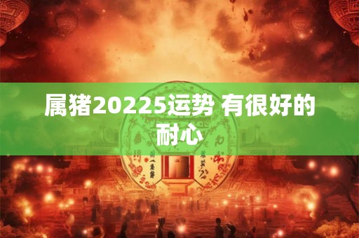 属猪20225运势 有很好的耐心