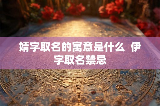 婧字取名的寓意是什么  伊字取名禁忌