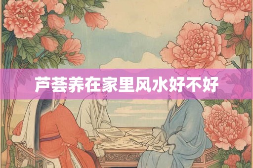 芦荟养在家里风水好不好