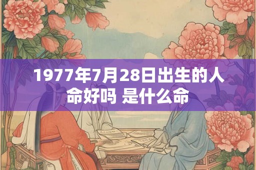 1977年7月28日出生的人命好吗 是什么命