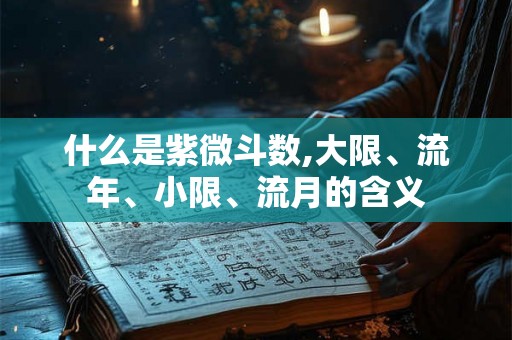 什么是紫微斗数,大限、流年、小限、流月的含义